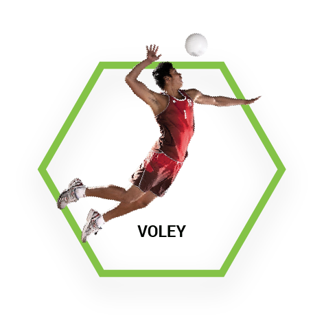 Voley